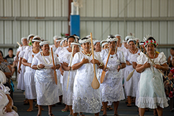IMG 4951